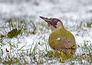 Arbeit im Schnee